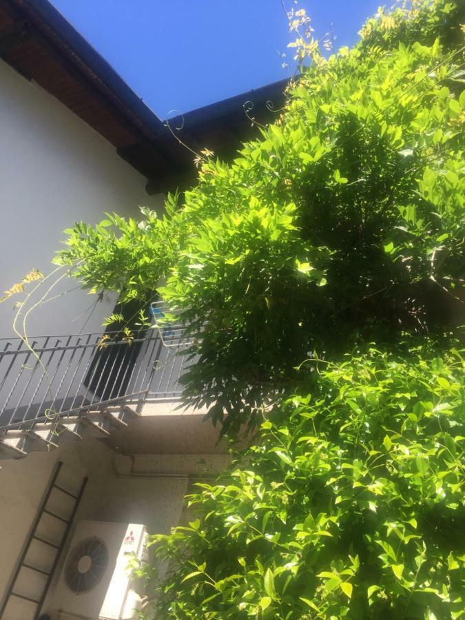 Delizioso Appartamento In Corte Vittuone Ngoại thất bức ảnh